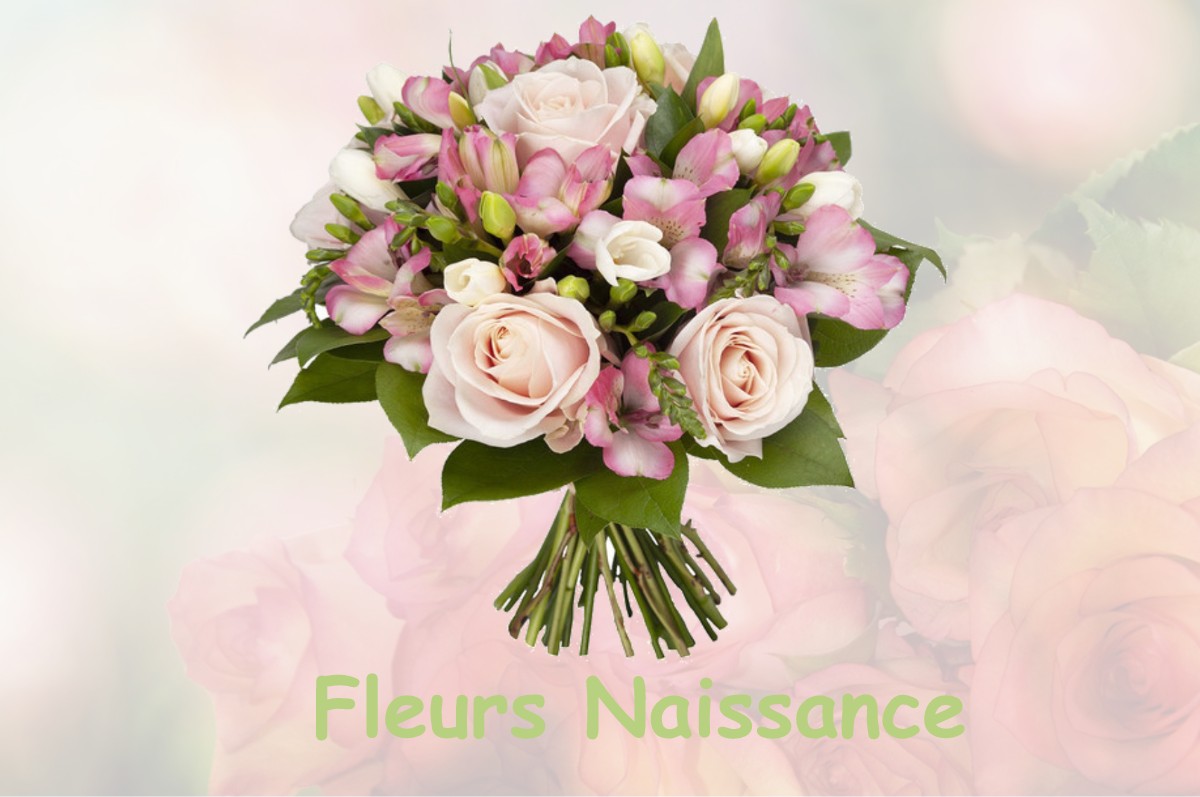 fleurs naissance LE-PLESSIS-L-EVEQUE
