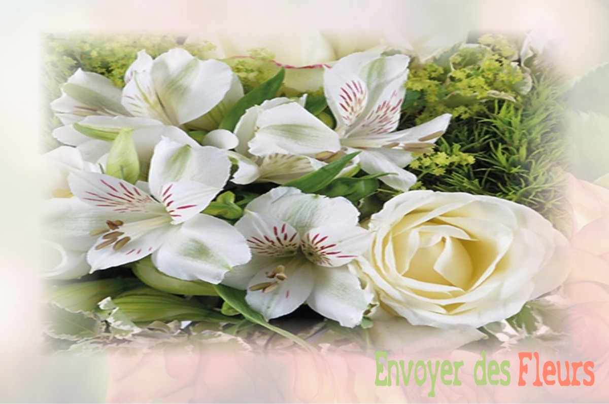envoyer des fleurs à à LE-PLESSIS-L-EVEQUE